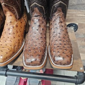 Ostrich boots